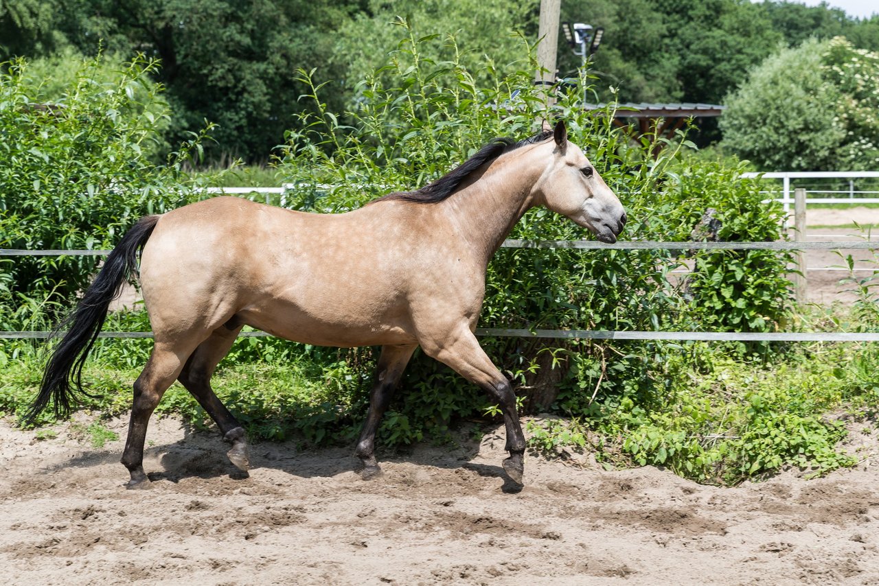 Bild 184 - Vivi